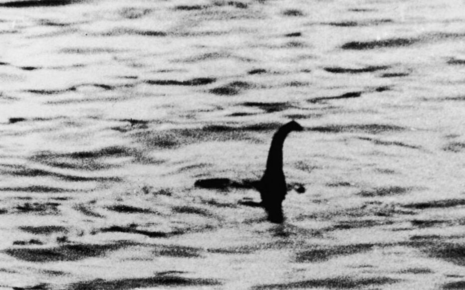 "Photo du chirurgien" - Nessie