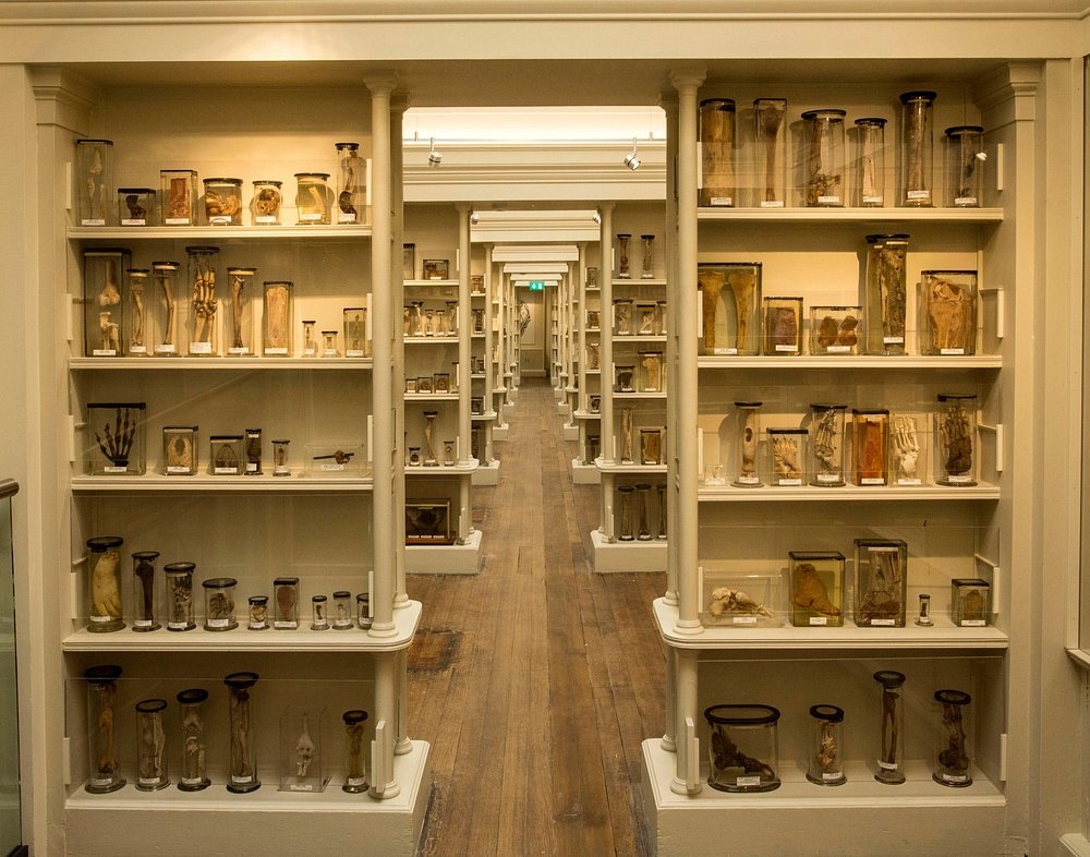 photo du Surgeons' Hall Museums