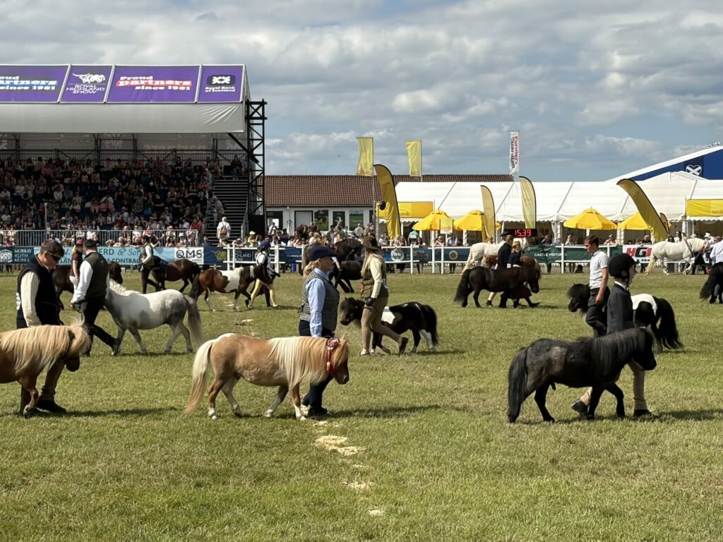 Royal Highland Show